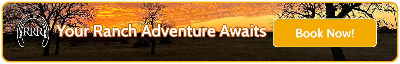 vacation rentals - book now