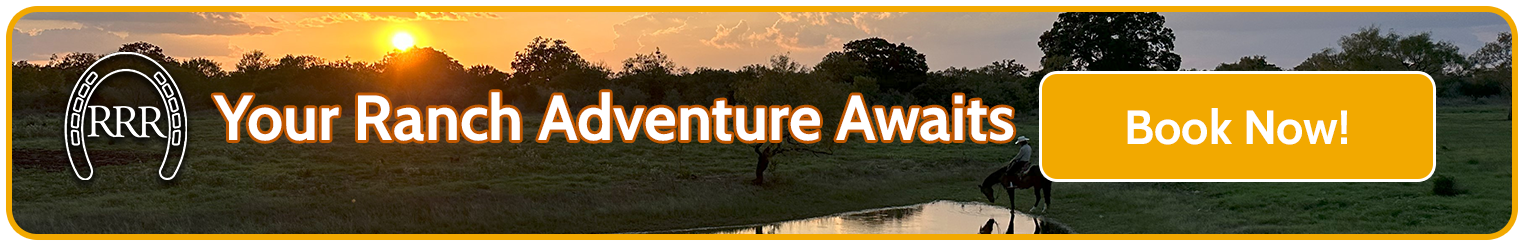 vacation rentals - book now!